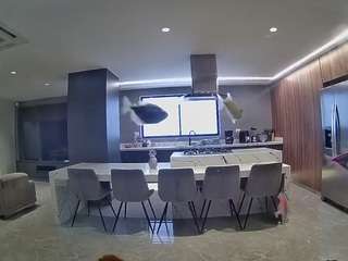 voyeurcam-casa-salsa-fishtank