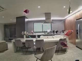 voyeurcam-casa-salsa-fishtank