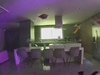 voyeurcam-casa-salsa-fishtank
