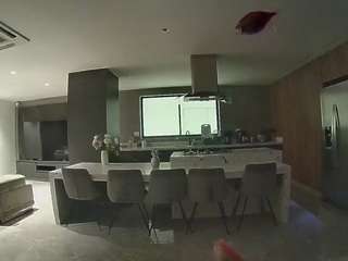 voyeurcam-casa-salsa-fishtank