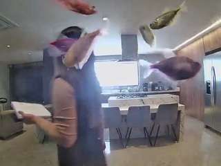 voyeurcam-casa-salsa-fishtank