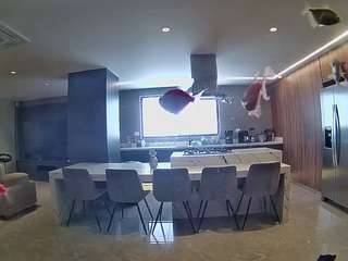 voyeurcam-casa-salsa-fishtank