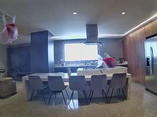 voyeurcam-casa-salsa-fishtank