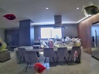 voyeurcam-casa-salsa-fishtank