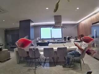 voyeurcam-casa-salsa-fishtank