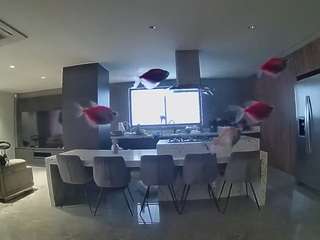 voyeurcam-casa-salsa-fishtank