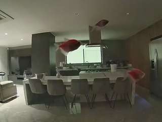 voyeurcam-casa-salsa-fishtank