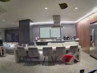 voyeurcam-casa-salsa-fishtank