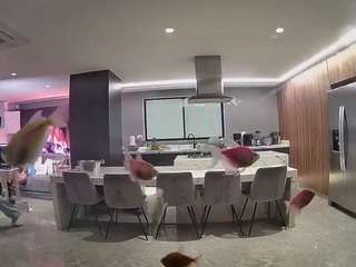 voyeurcam-casa-salsa-fishtank
