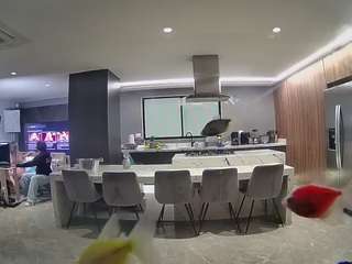 voyeurcam-casa-salsa-fishtank