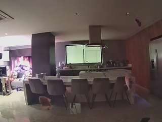 voyeurcam-casa-salsa-fishtank