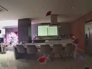 voyeurcam-casa-salsa-fishtank