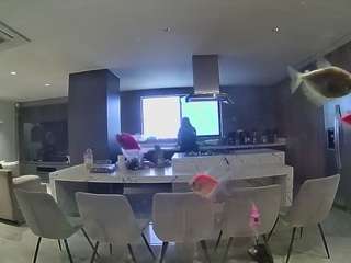 voyeurcam-casa-salsa-fishtank webcam model