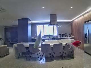 voyeurcam-casa-salsa-fishtank
