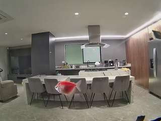 voyeurcam-casa-salsa-fishtank
