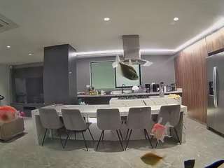 voyeurcam-casa-salsa-fishtank
