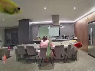voyeurcam-casa-salsa-fishtank