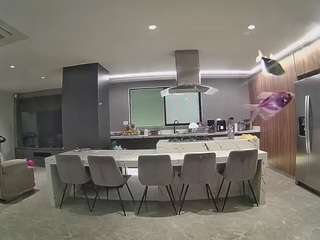 voyeurcam-casa-salsa-fishtank