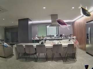 voyeurcam-casa-salsa-fishtank