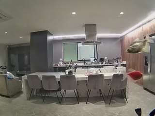 voyeurcam-casa-salsa-fishtank