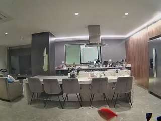 voyeurcam-casa-salsa-fishtank
