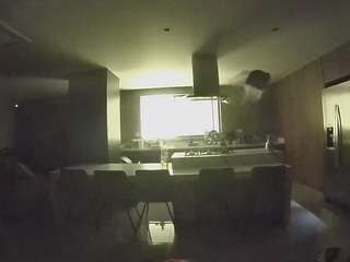 voyeurcam-casa-salsa-fishtank