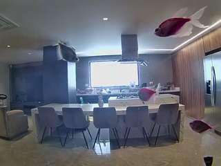 voyeurcam-casa-salsa-fishtank