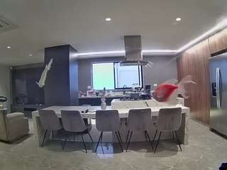voyeurcam-casa-salsa-fishtank