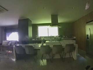 voyeurcam-casa-salsa-fishtank