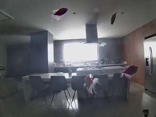 voyeurcam-casa-salsa-fishtank