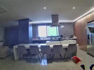 voyeurcam-casa-salsa-fishtank