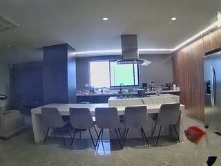 voyeurcam-casa-salsa-fishtank