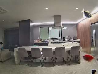 voyeurcam-casa-salsa-fishtank