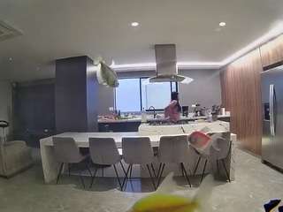 voyeurcam-casa-salsa-fishtank