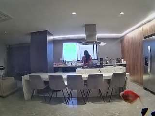 voyeurcam-casa-salsa-fishtank