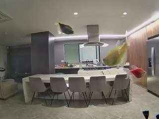 voyeurcam-casa-salsa-fishtank