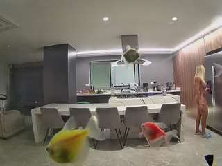 voyeurcam-casa-salsa-fishtank