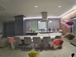 voyeurcam-casa-salsa-fishtank