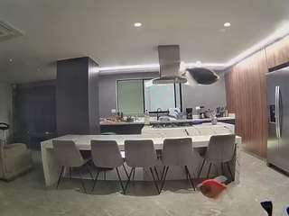 voyeurcam-casa-salsa-fishtank