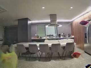 voyeurcam-casa-salsa-fishtank