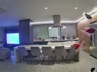 voyeurcam-casa-salsa-fishtank