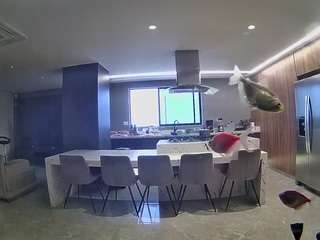 voyeurcam-casa-salsa-fishtank