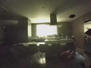 voyeurcam-casa-salsa-fishtank