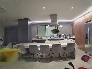 voyeurcam-casa-salsa-fishtank