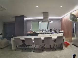 voyeurcam-casa-salsa-fishtank