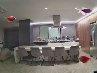 voyeurcam-casa-salsa-fishtank