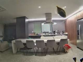 voyeurcam-casa-salsa-fishtank
