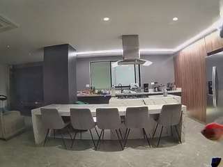 voyeurcam-casa-salsa-fishtank