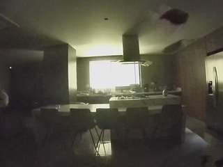 voyeurcam-casa-salsa-fishtank