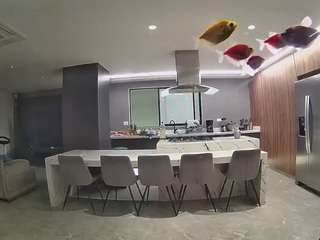voyeurcam-casa-salsa-fishtank